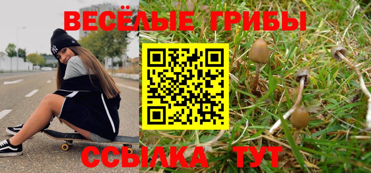 Псилоцибиновые грибы GOLDEN TEACHER Асбест