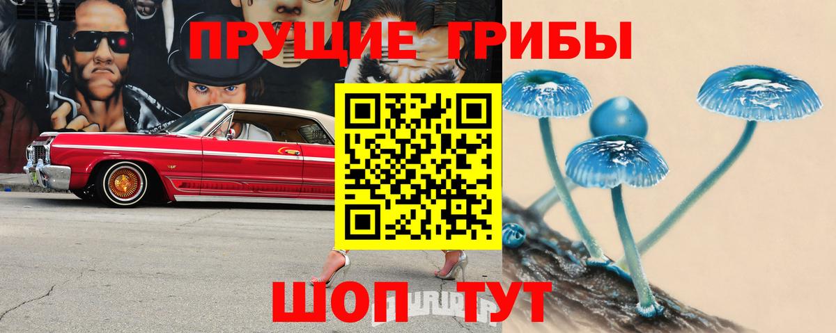 Асбест  Галлюциногенные грибы Psilocybine cubensis  наркота  Вход с VPN 